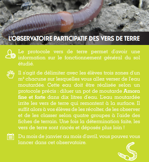L’OBSERVATOIRE PARTICIPATIF DES VERS DE TERRE