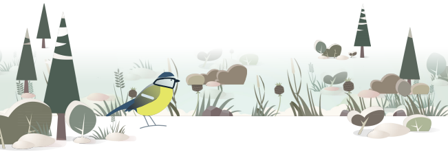 illustration Birdlab