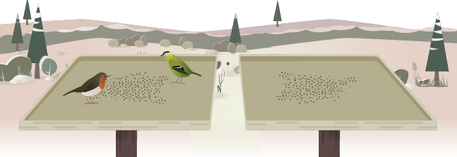 illustration BirdLab