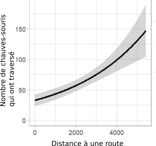 effet des routes sur les chauves-souris