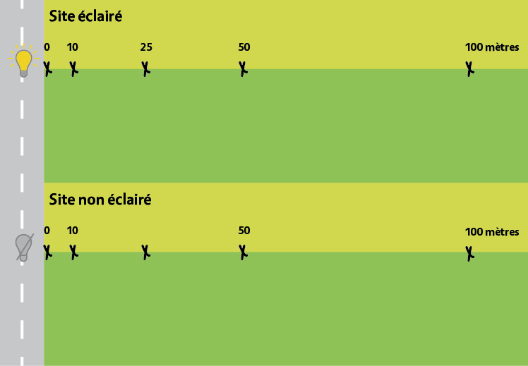 Effet de la lumière