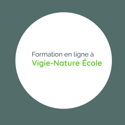 Formations VNE